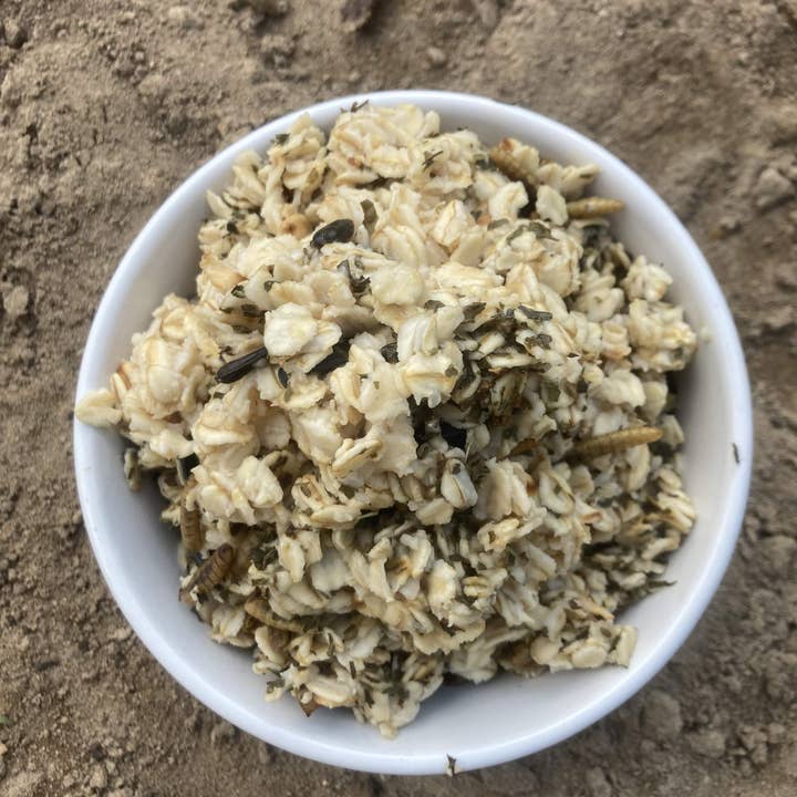 Kolde vinternætter - varm havregrynsbehandling til ekstra kalorier for engroshandel hos Dahlia Pets