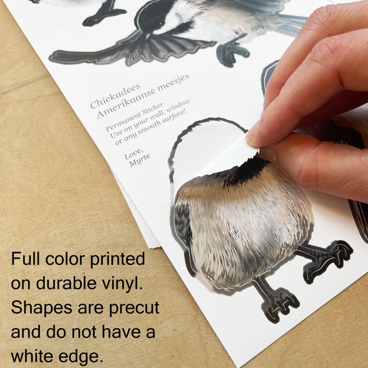 MYRTE - Wholesale Wall Decal/Stickers - Birds in Blue and Brown Illustration Wall Decal4