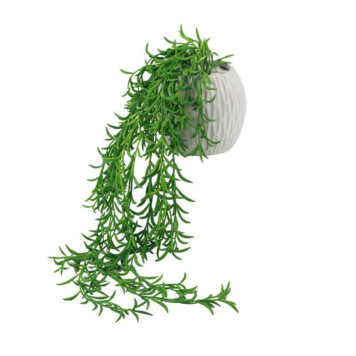 Reeks bananen in 4 „New Ridge Ceramic 4X4X4.5 voor wholesale door Flora Bunda Inc