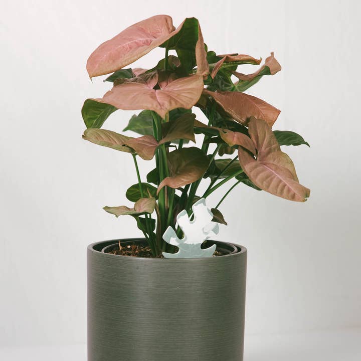 PlantDoc – wholesale Garden tool – Mini Monstera PlantDoc: Color-Change Plant Moisture Meter