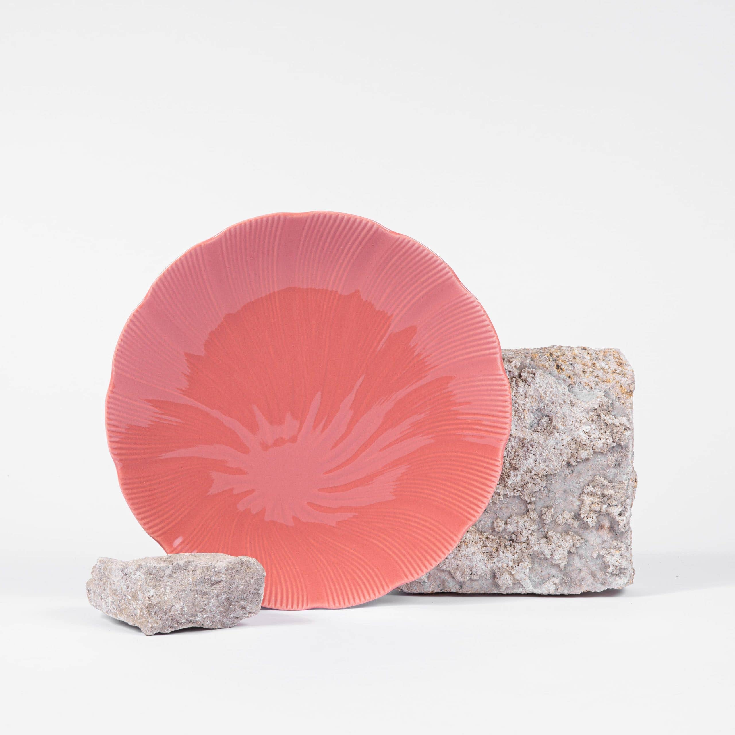 OGRE La Fabrique - Wholesale Dinner Plate - Tahiti Terracotta Plate (25cm)2