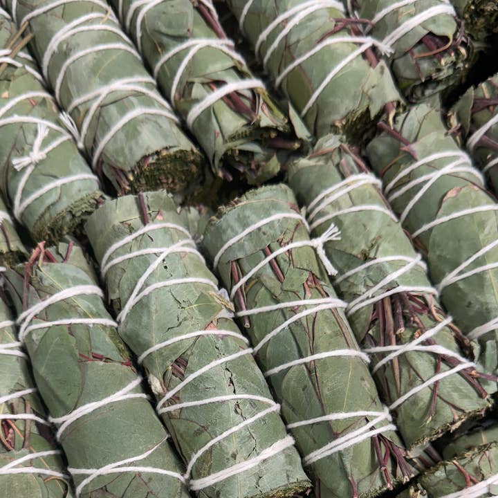 Sarimoire - Wholesale Sage Bundle - Eucalyptus Herb Wands, Eucalyptus Leaf Bundle1