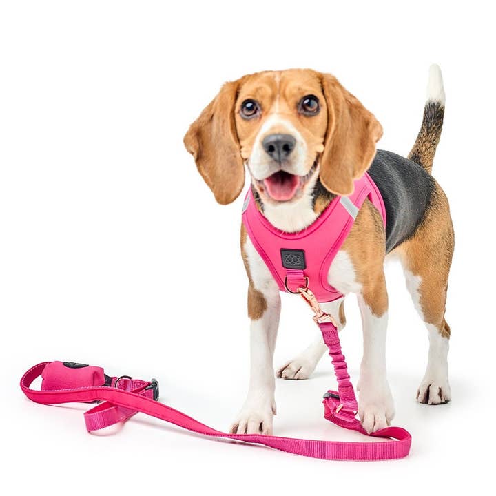 Dogistryâ„¢ - Wholesale Pet Poop Bag Dispenser - Poop Bag Holder - Park Ave Pink
