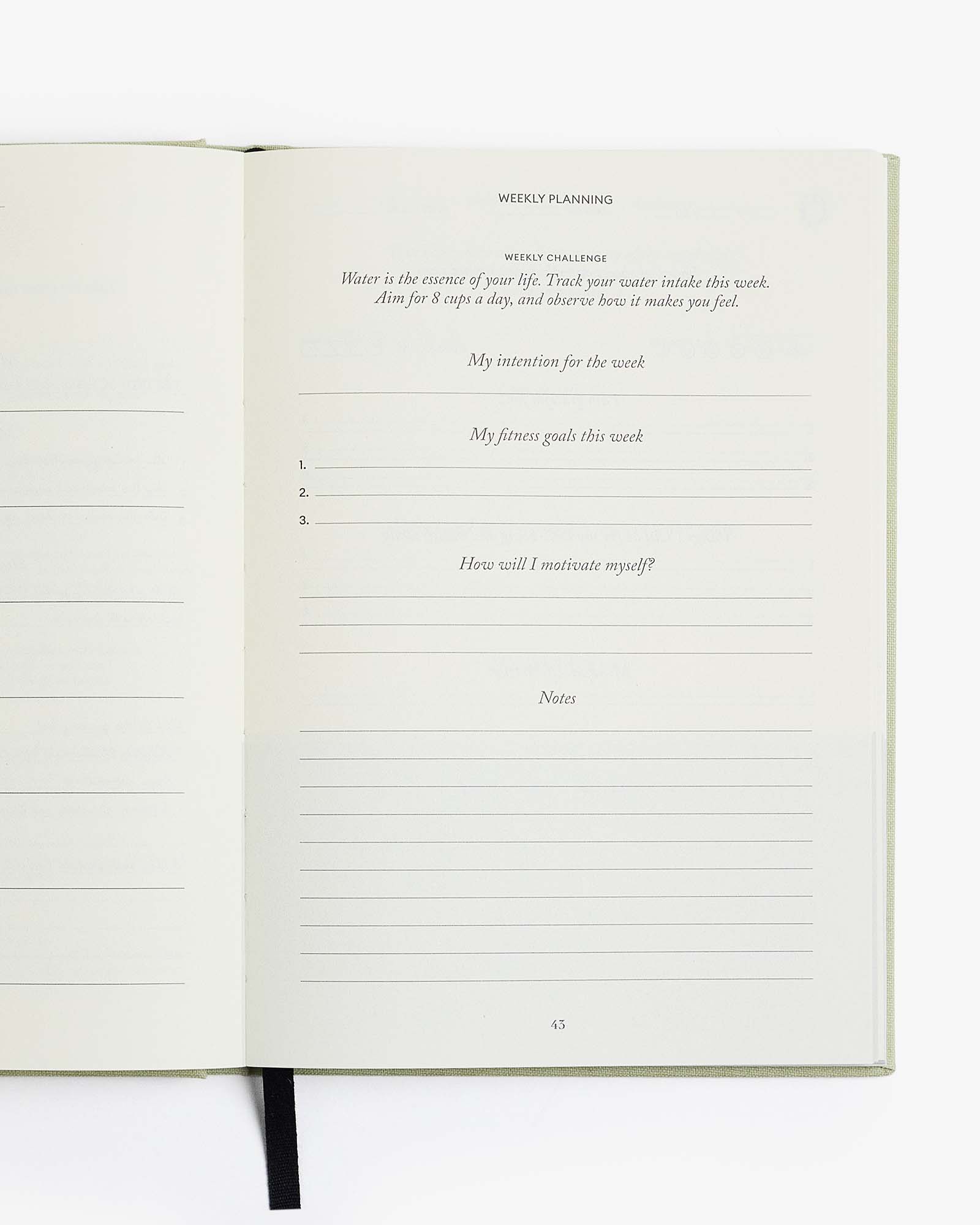 Intelligent Change - Venta al por mayor Diario/agenda - The Five Minute Journal Edición Fit - Metas de salud y fitness9