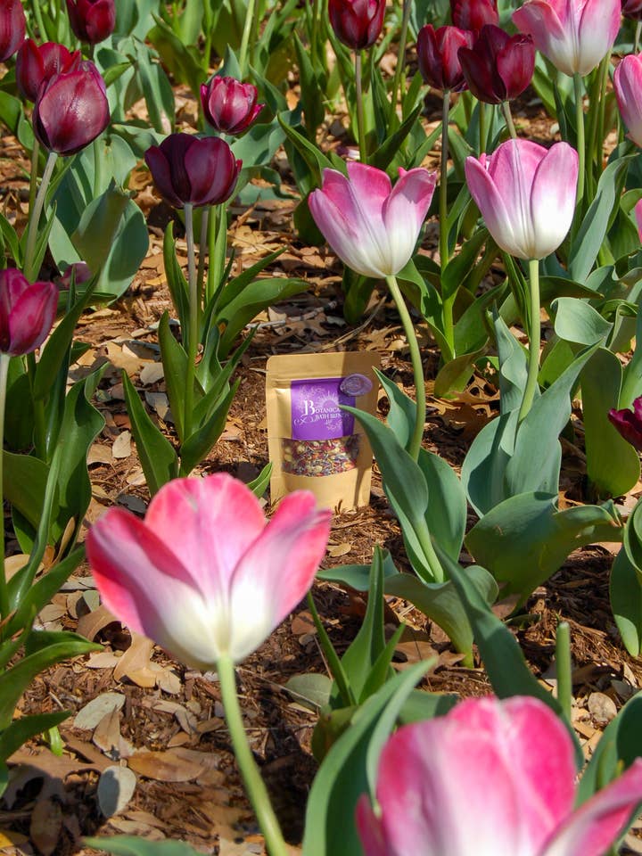 Mergulha Encantada 1oz por atacado de Botanical Bath Blends LLC