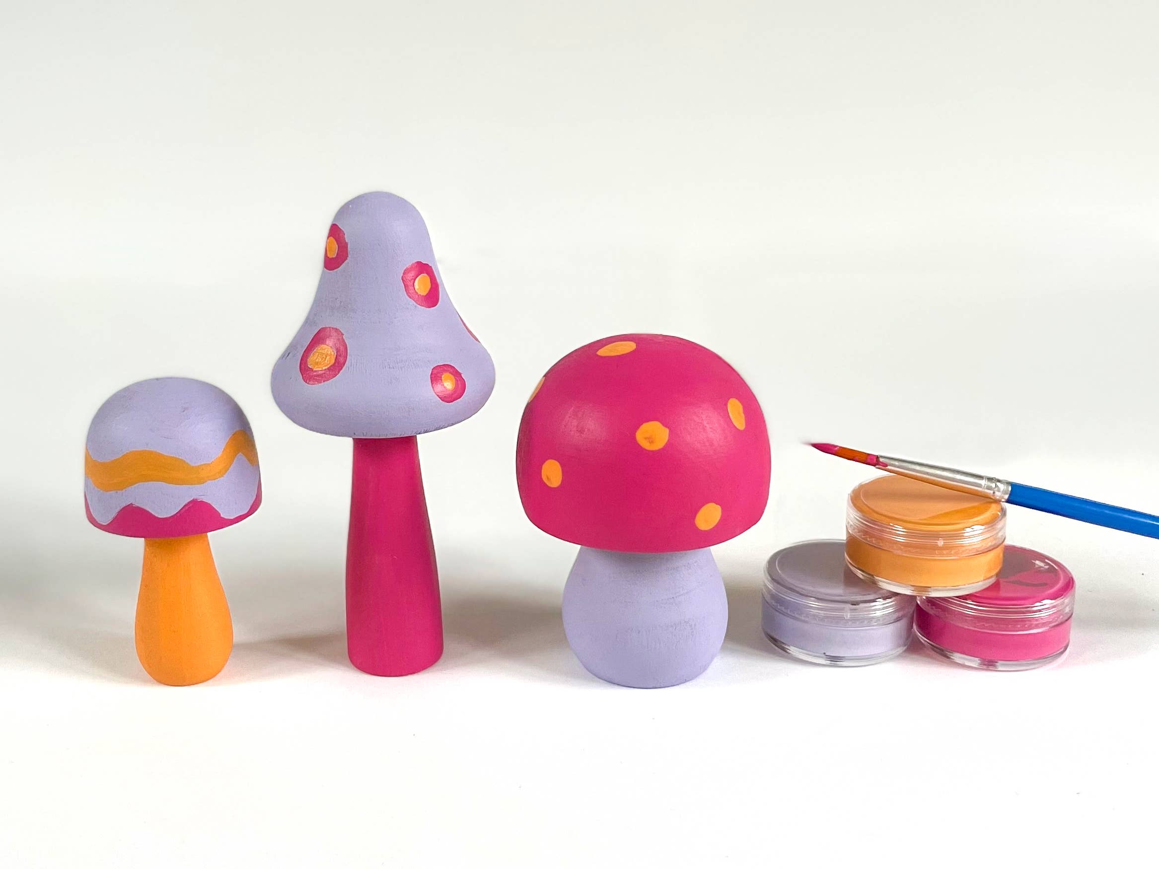 Bramble Workshop - Wholesale DIY Craft Kit - DIY Painted Mushroom Kit- bright1