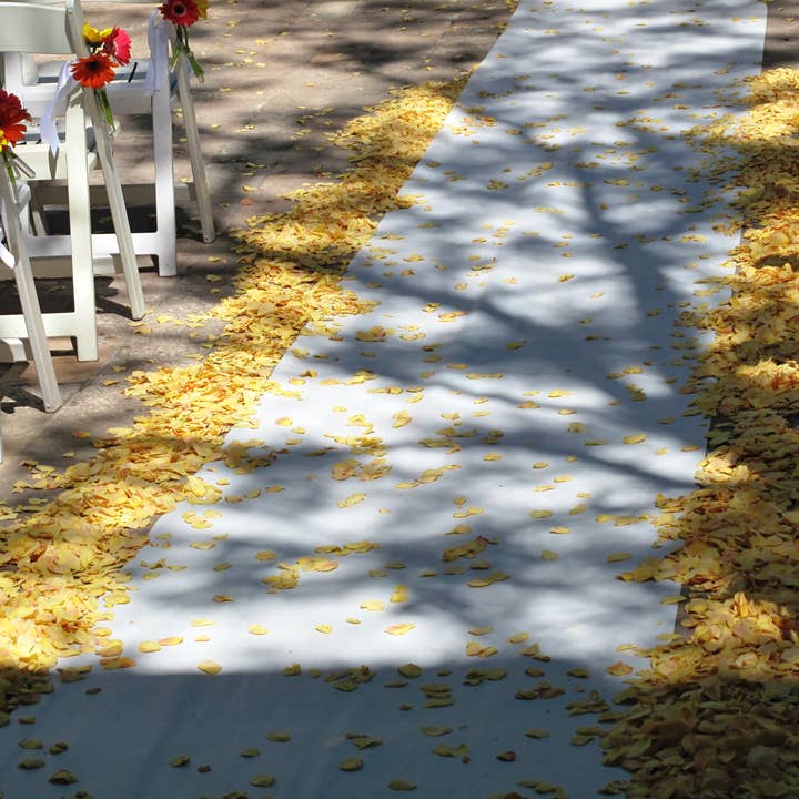 Flyboy Naturals Rose Petals - Wholesale Confetti - Yellow, Eco-friendly, freeze-dried rose petals. 30 Cups USA4