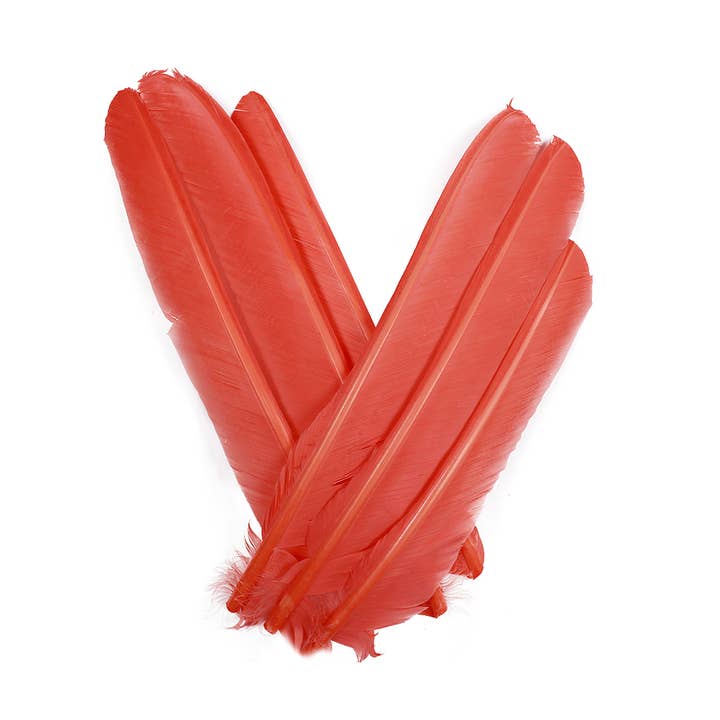 TURKEY POINTER CUT 8-12" Apricot Blush 6PC/PKG for wholesale by Zucker Feather Products