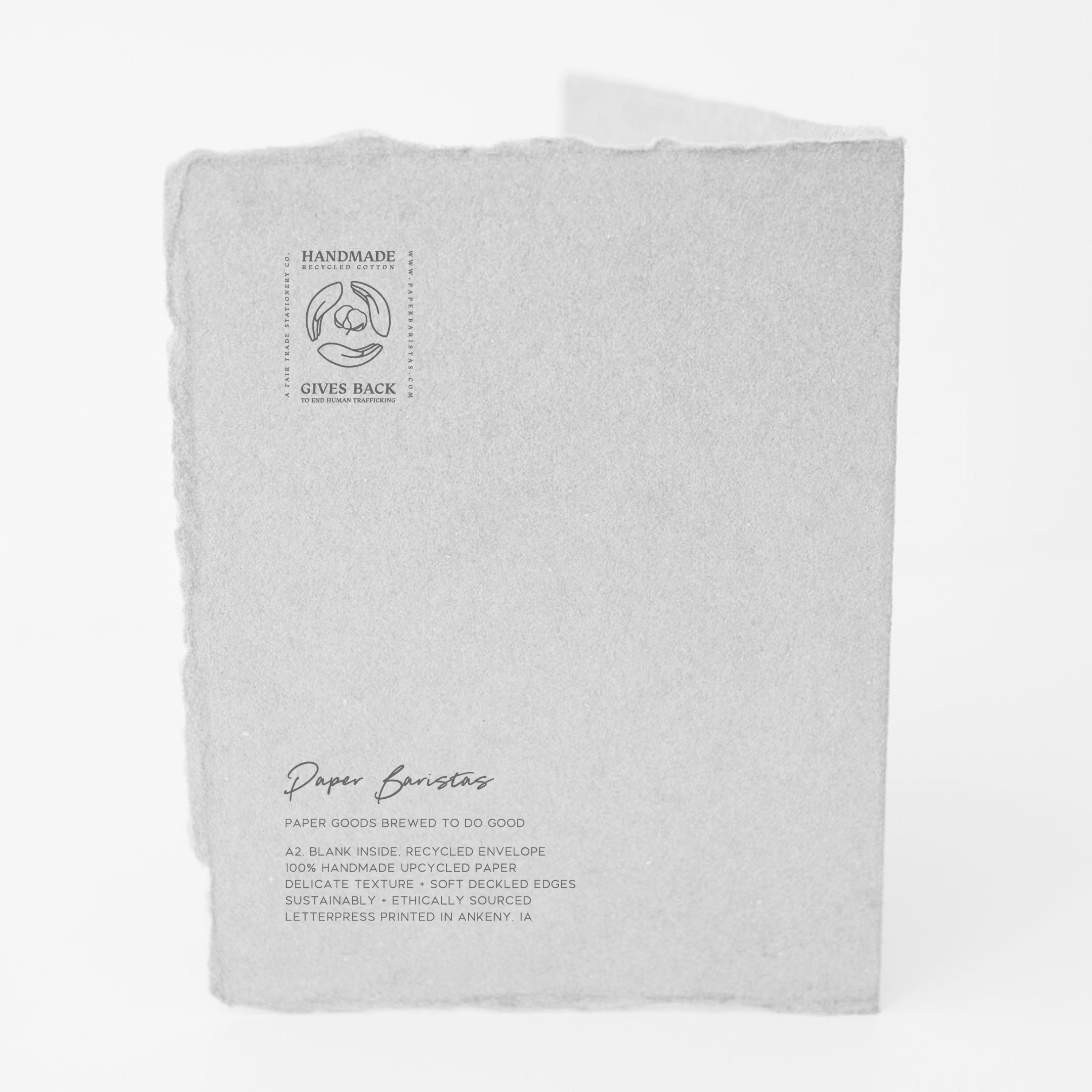 Paper Baristas - Wholesale Friendship Card - You're a ray of sunshine. | Love Friend Greeting Card1