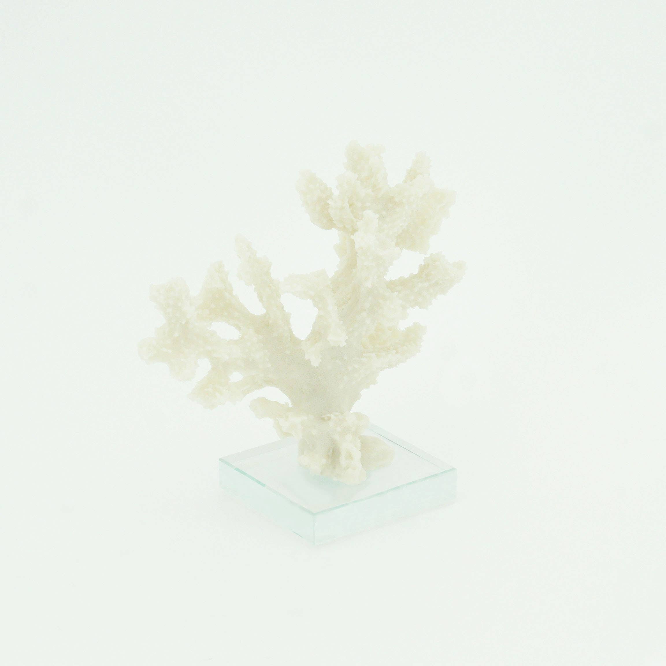 Modern Coastal by Contrast Inc. - Wholesale Decorative Tabletop Object - Staghorn Coral on Base1