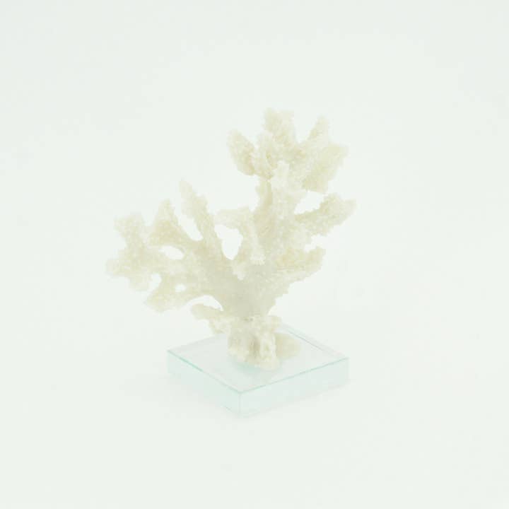 Modern Coastal by Contrast Inc. - Wholesale Decorative Tabletop Object - Staghorn Coral on Base1
