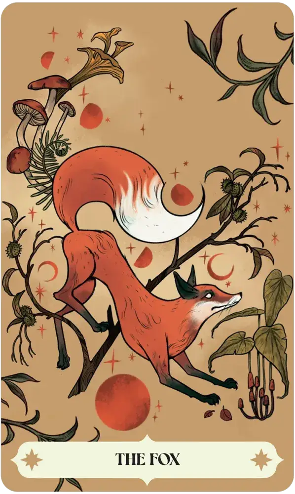 U.S. Games Systems Inc. - Wholesale Tarot Cards - Herbana Witch Oracle1