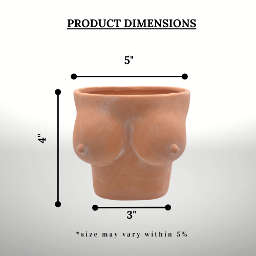 Simply Supplied Co – wholesale Kruka – Boob Kruka | Terrakotta Kruka | Roliga Bröst Kaktus Unik11