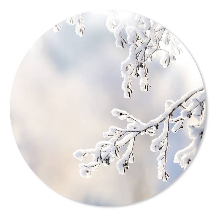 Circulo de Parede dos Ramos de Inverno por atacado de GM decoratie