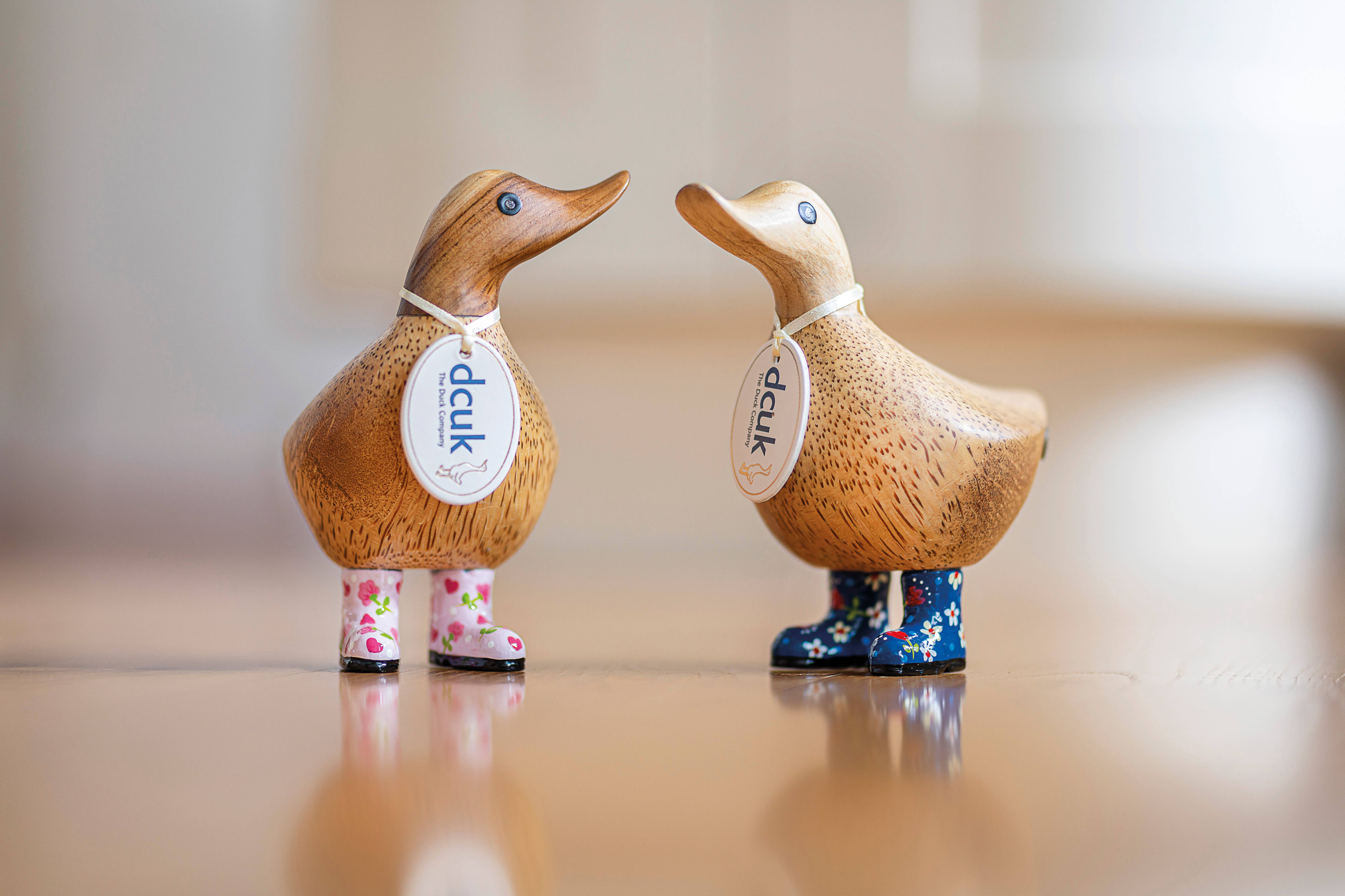 DCUK - Wholesale Decorative Tabletop Object - Floral Boots Duckys2