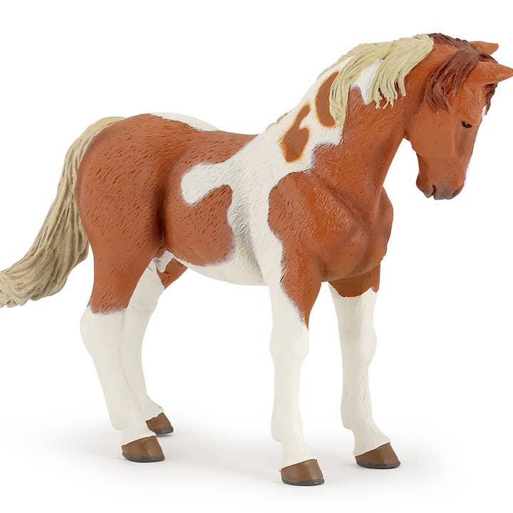 Pinto Mare for wholesale by Papo