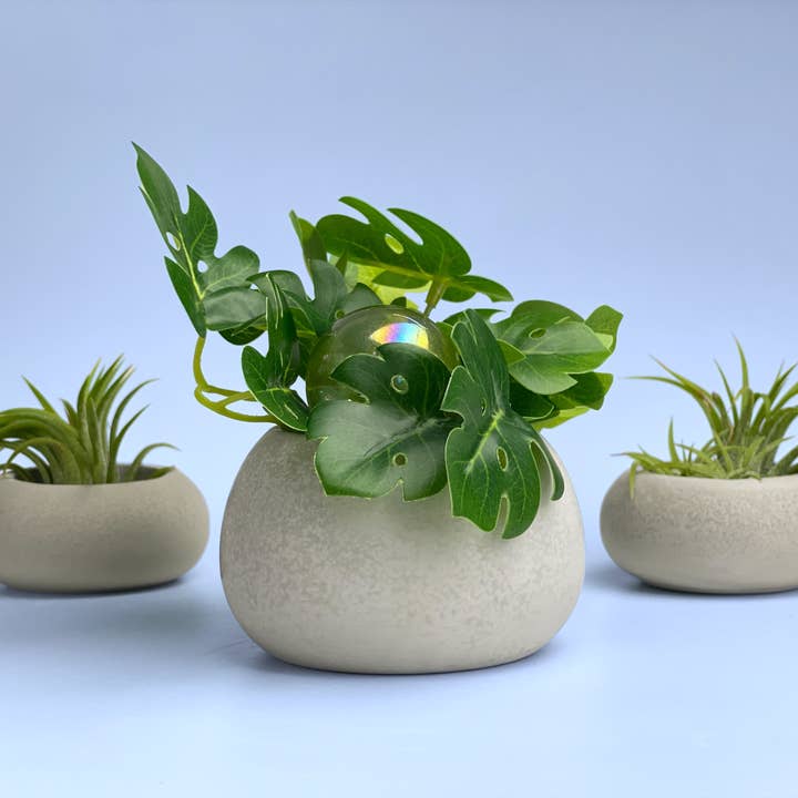 Planters Made in the USA – wholesale Plant pot – Mini Succulent Planter | AirPlant Holder, Minimalist Plant2