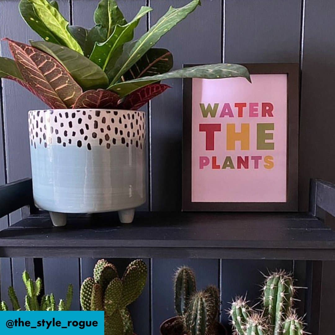 Penny And Me – wholesale Art print – WATER THE PLANTS | WALL ART PRINT1