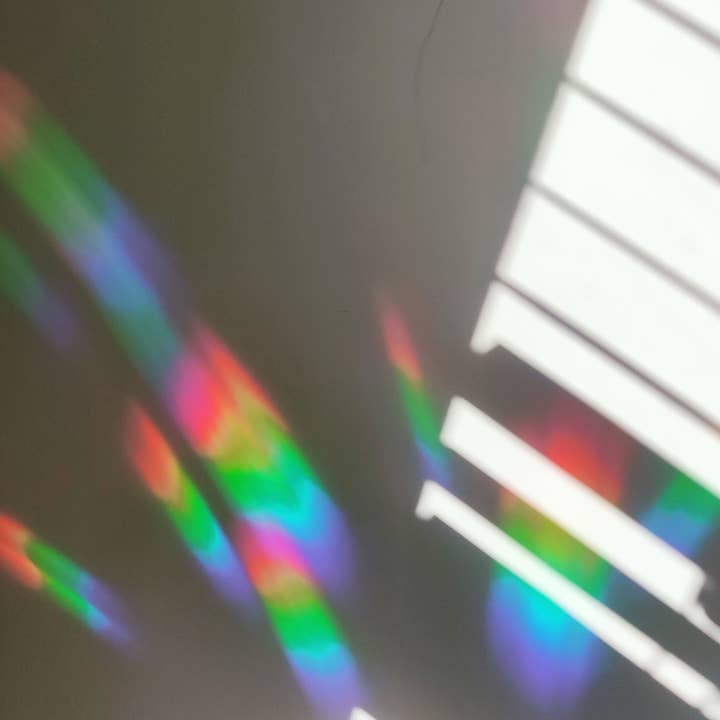 BumbleB Graphic Design - Wholesale Sticker - Tropical Plants Suncatcher Sticker4