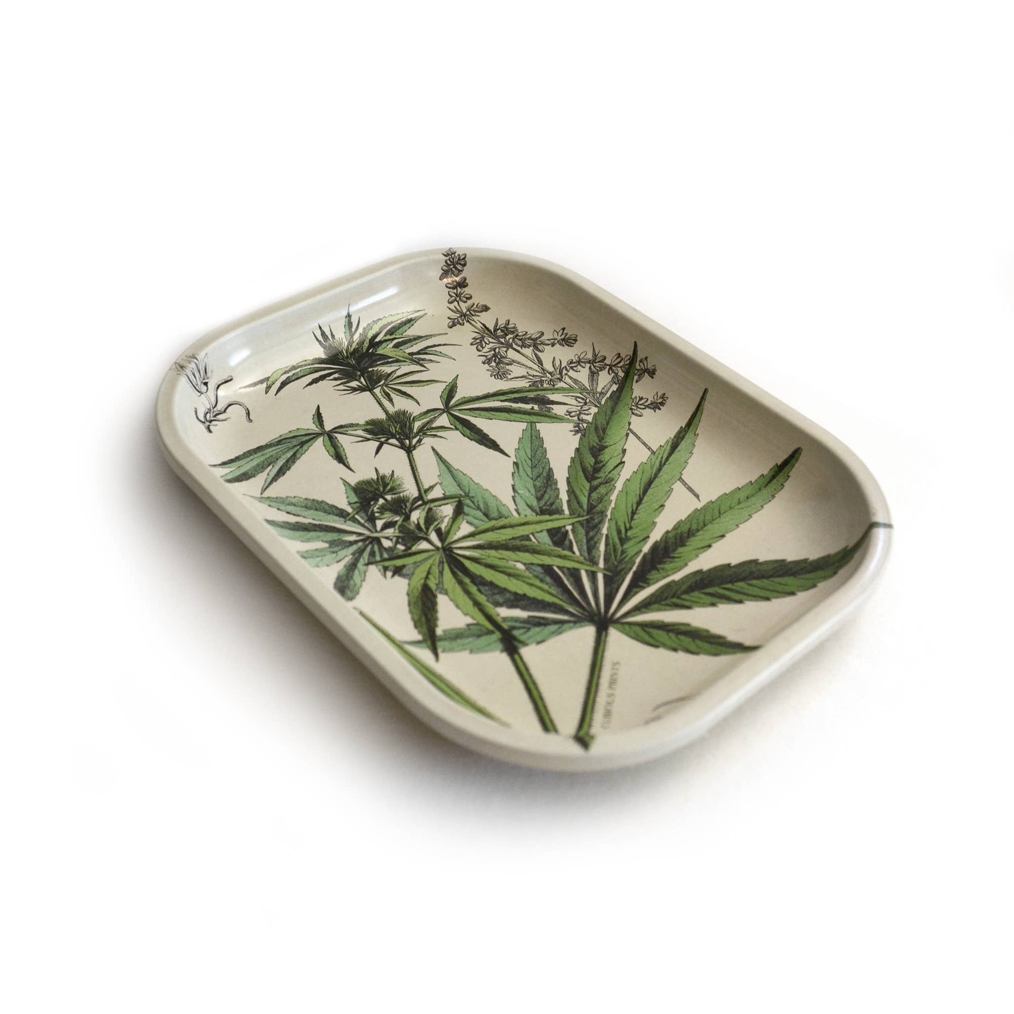 Curious Prints - Wholesale Decorative Tray - Small Metal Cannabis Decorative Tray / Vintage Botanical1