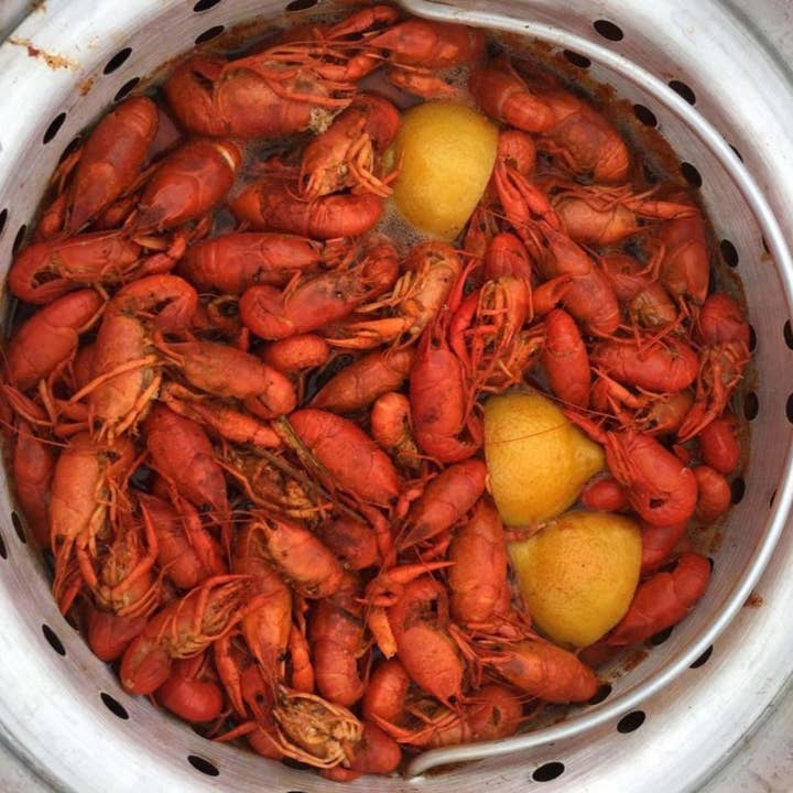 Grill Your Ass Off - Spices, Rubs, Seasonings, Sauces, Jerky - Vendita all'ingrosso Mix di spezie secche - Napalm Crawfish & Seafood Boil™ - Audace Sapore Cajun