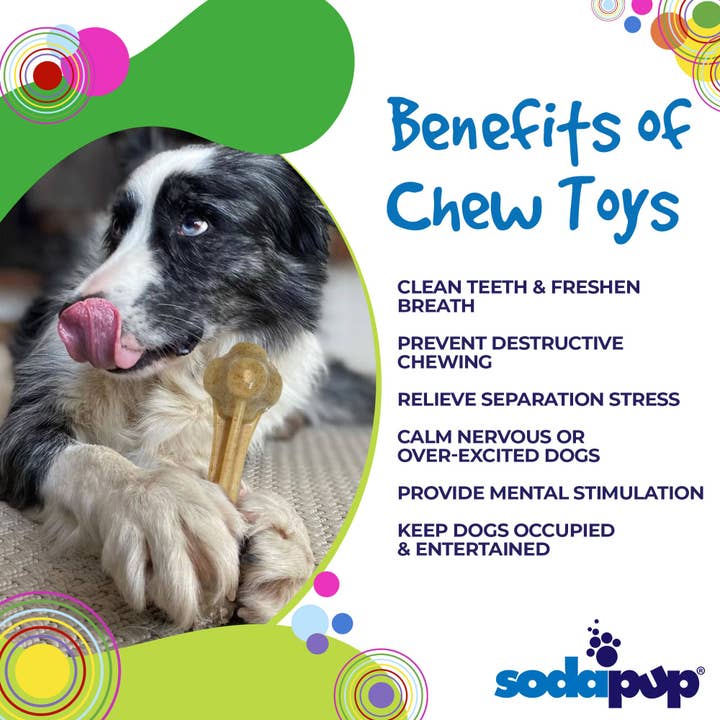 SodaPup Dog Toys - Wholesale Pet Chew Toy - Dog - Knucklebone Ultra Durable Nylon Dog Chew Bone2
