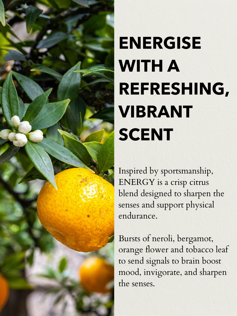 Anatome – wholesale Perfume/eau de toilette – Energy Eau de Parfum Travel 10ml3