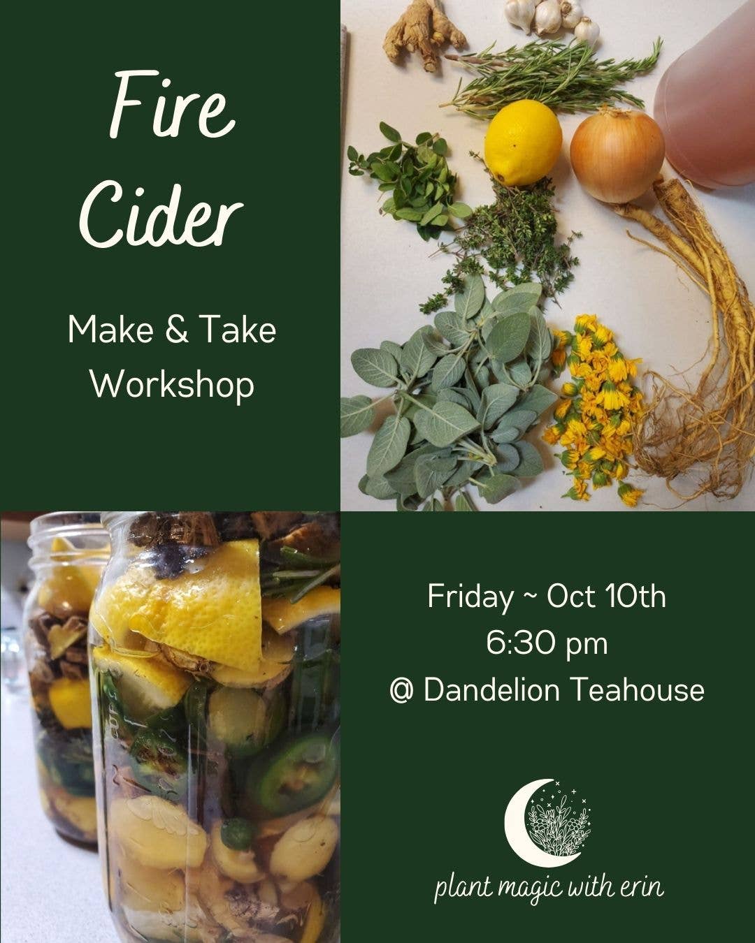 Naomi's Happy Place Shop - Wholesale DIY drink kit - Fire Cider Workshop