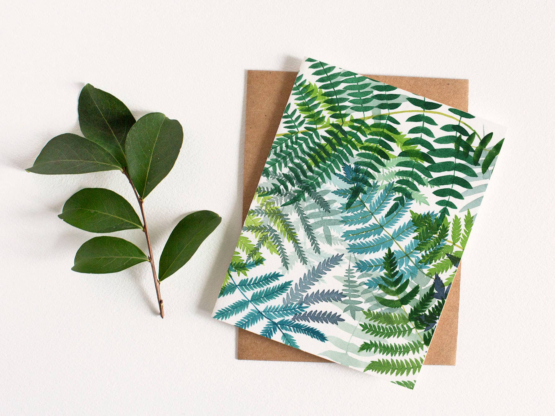 May We Fly – Conjunto de notas por atacado – Cartão comemorativo de samambaias - caixa de oito3