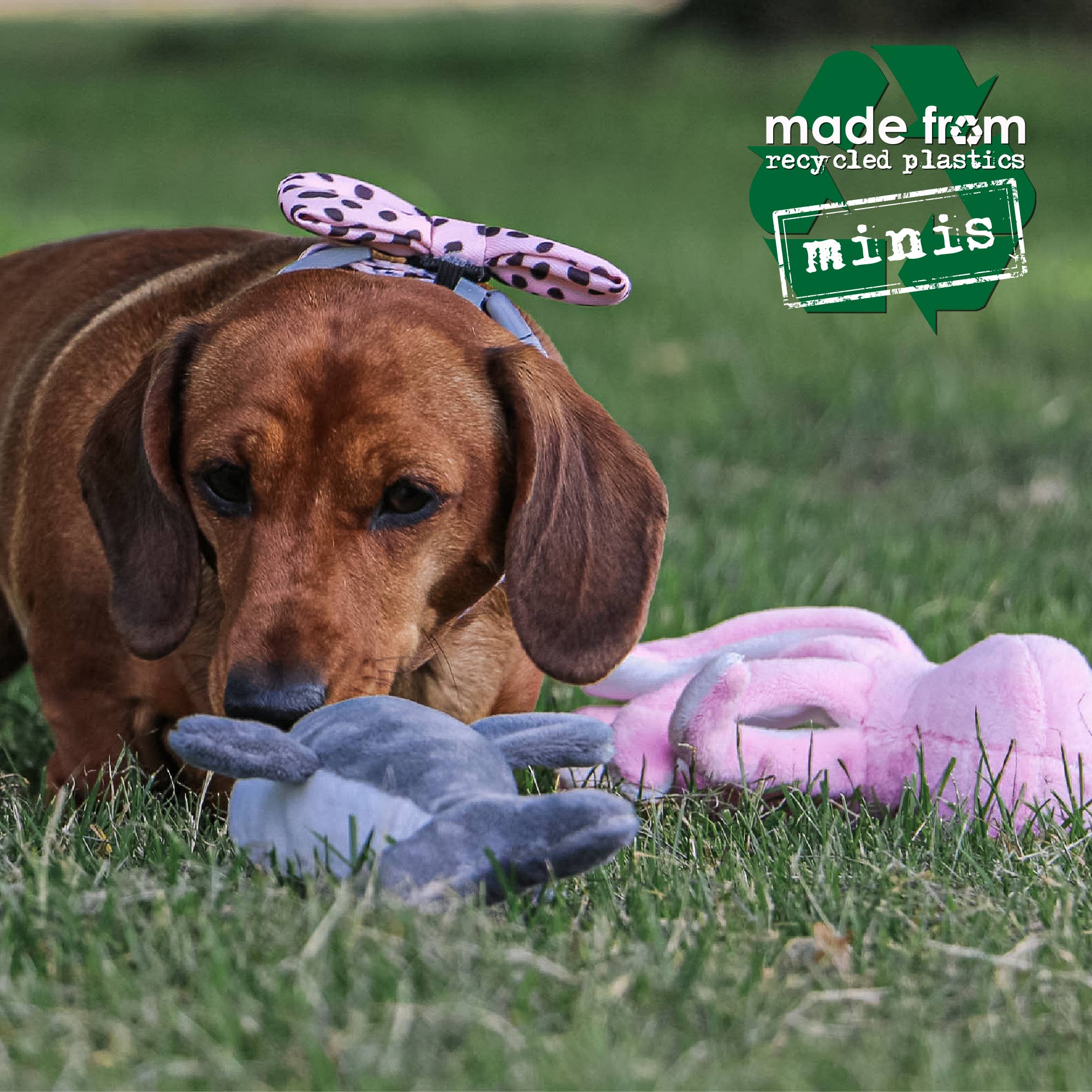 Ancol Pet Products Ltd - Wholesale Pet Plush Toy - Dog - Made From Mini Shark Octopus and Oshi1