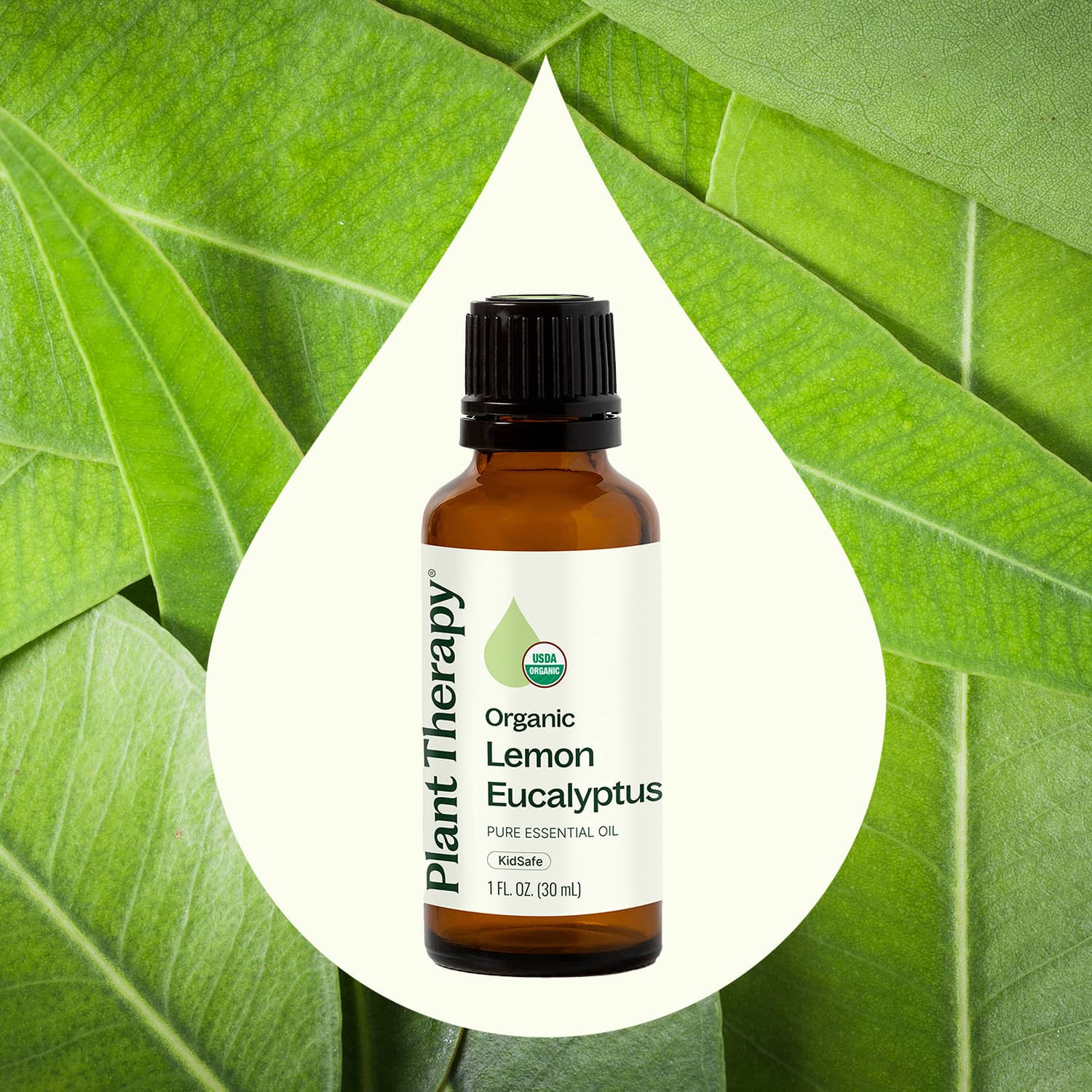 Plant Therapy - Wholesale Essential Oil - Organic Lemon Eucalyptus Essential Oil 30 mL4