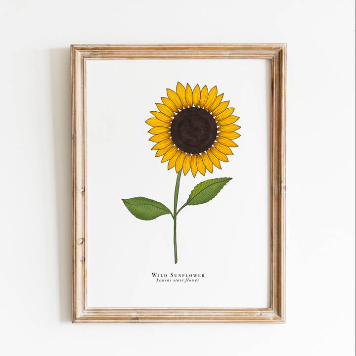 Stampa floreale del Kansas State | Stampa floreale girasole per la vendita all'ingrosso da parte di Erika Layne Art