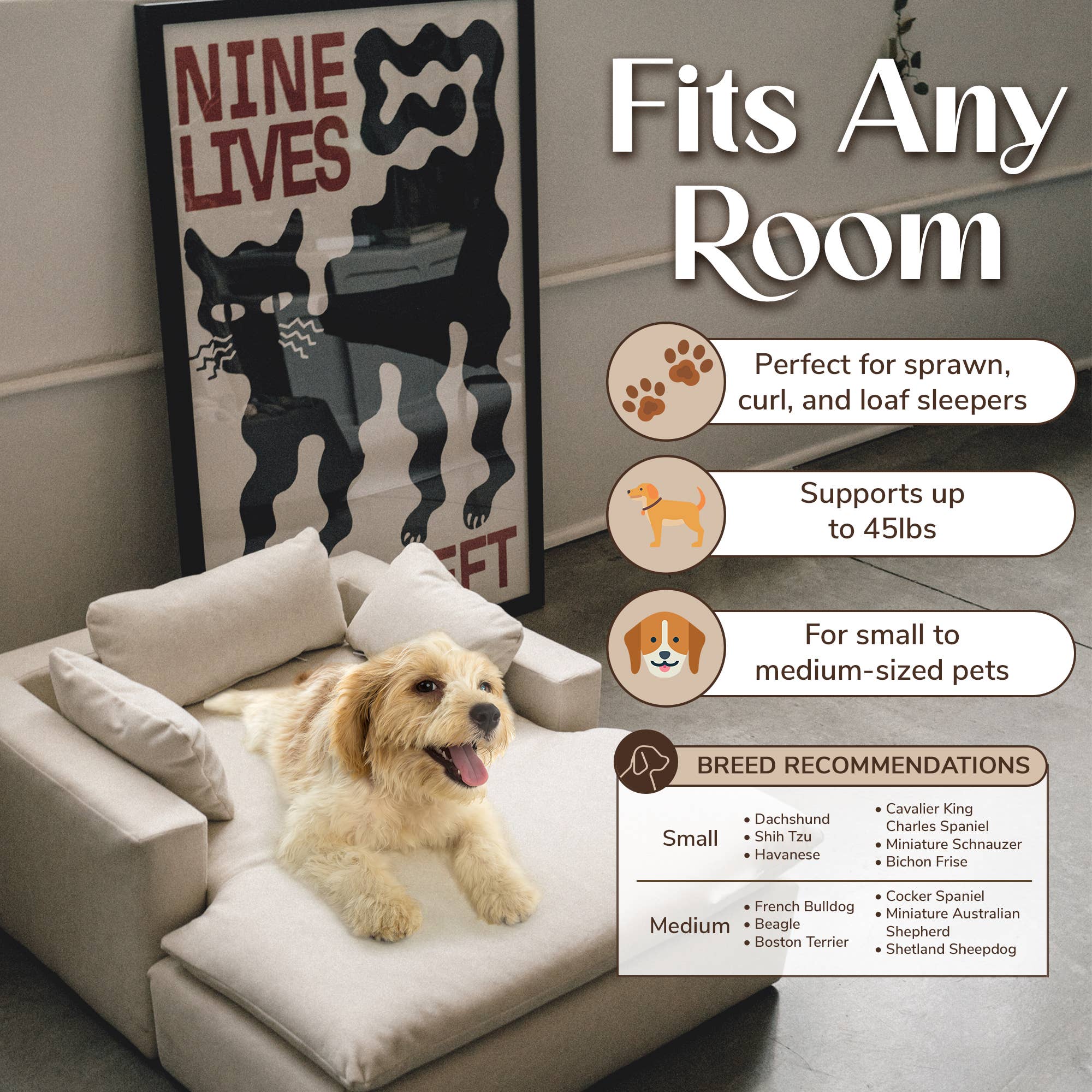 WHISKERHAUS LLC - Wholesale Pet Bed - Cat/Dog - WHISKERHAUS Premium Modern Luxury Cat and Dog Bed - LUXE6