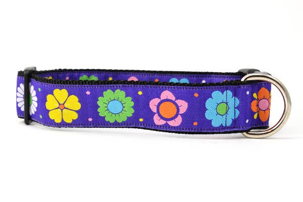 six point pet - Vente Collier – chien - Daisy Chain-Violet8