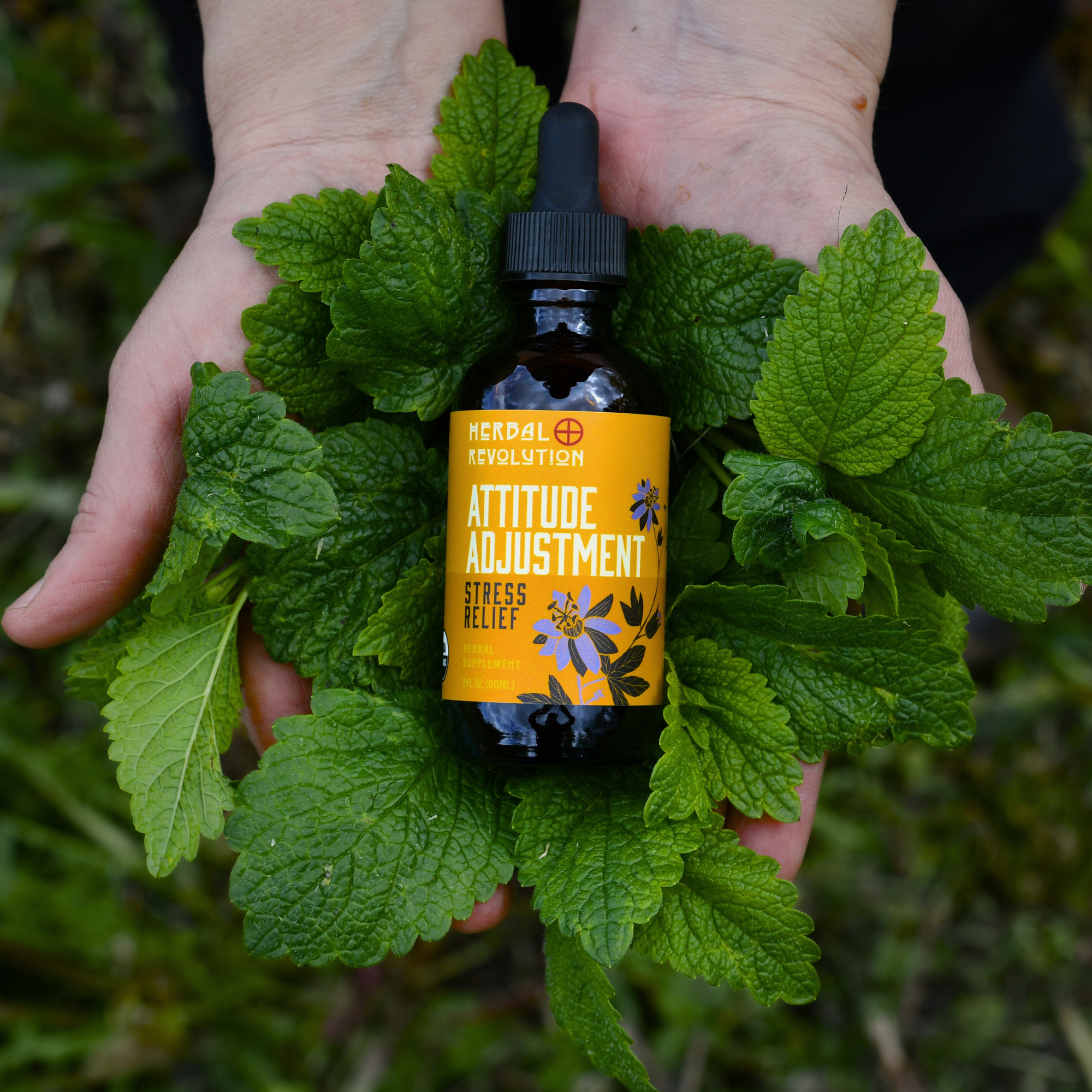 Herbal Revolution Farm + Apothecary - Wholesale Tincture - Attitude Adjustment: Stress & Anxiety Relief Elixir 4