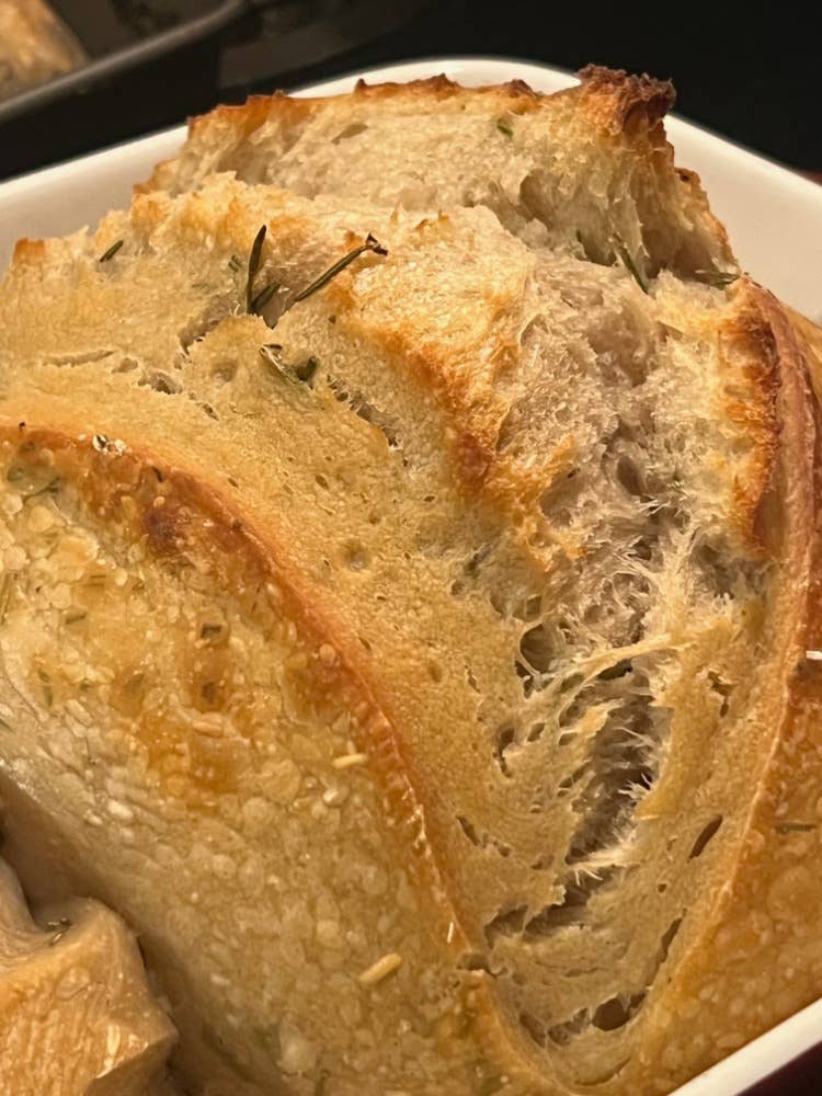 Philodendron and Fern Co. – wholesale Bread mix – Dehydrated Sourdough Started4