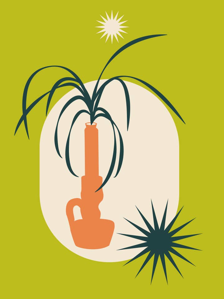 Propagation Station #1: Spider Plant for wholesale by fern (like the plant)