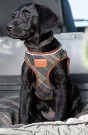 Ancol Pet Products Ltd - Vendita all'ingrosso Pettorina - Cani - La collezione Heritage Country Step in Harness5