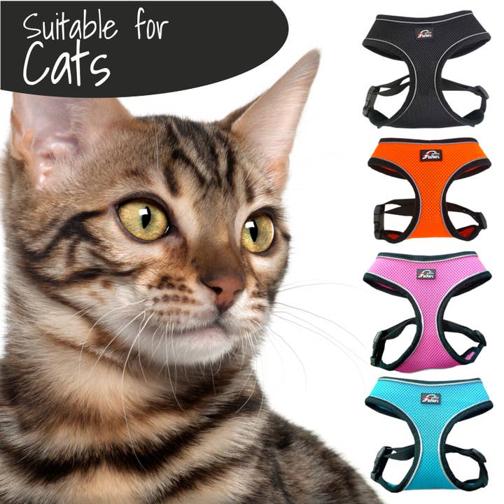 FINNERO - Wholesale Pet Harness - Dog - FINNERO LIGHT Reflective Harness For Pets, 4 Colors16