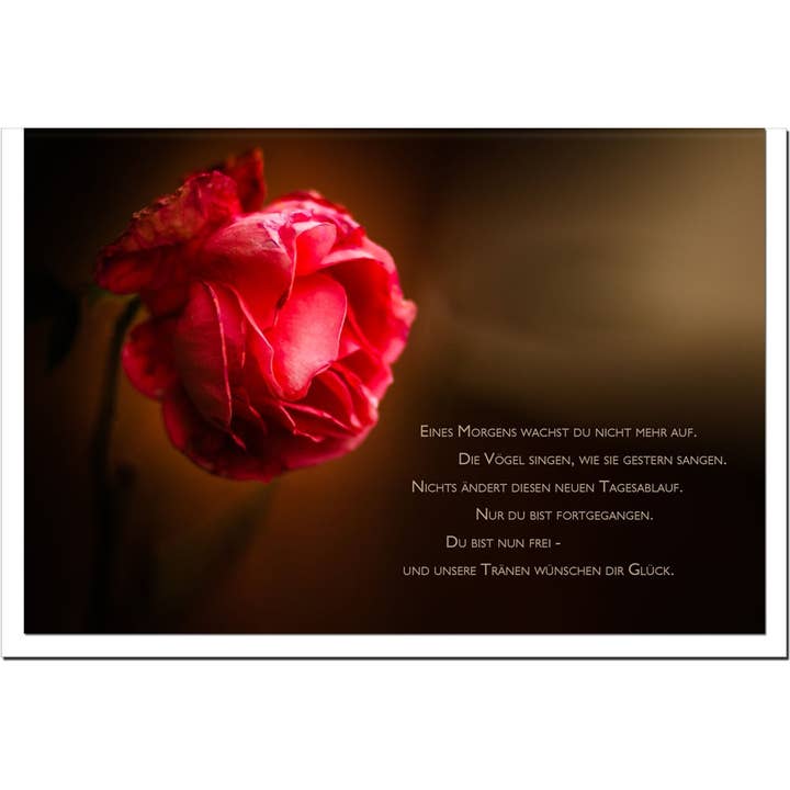 metALUm kondolencekort B6 – kondolencekort rød rose med tekst om afsked og hvid konvolut for engroshandel hos metALUm