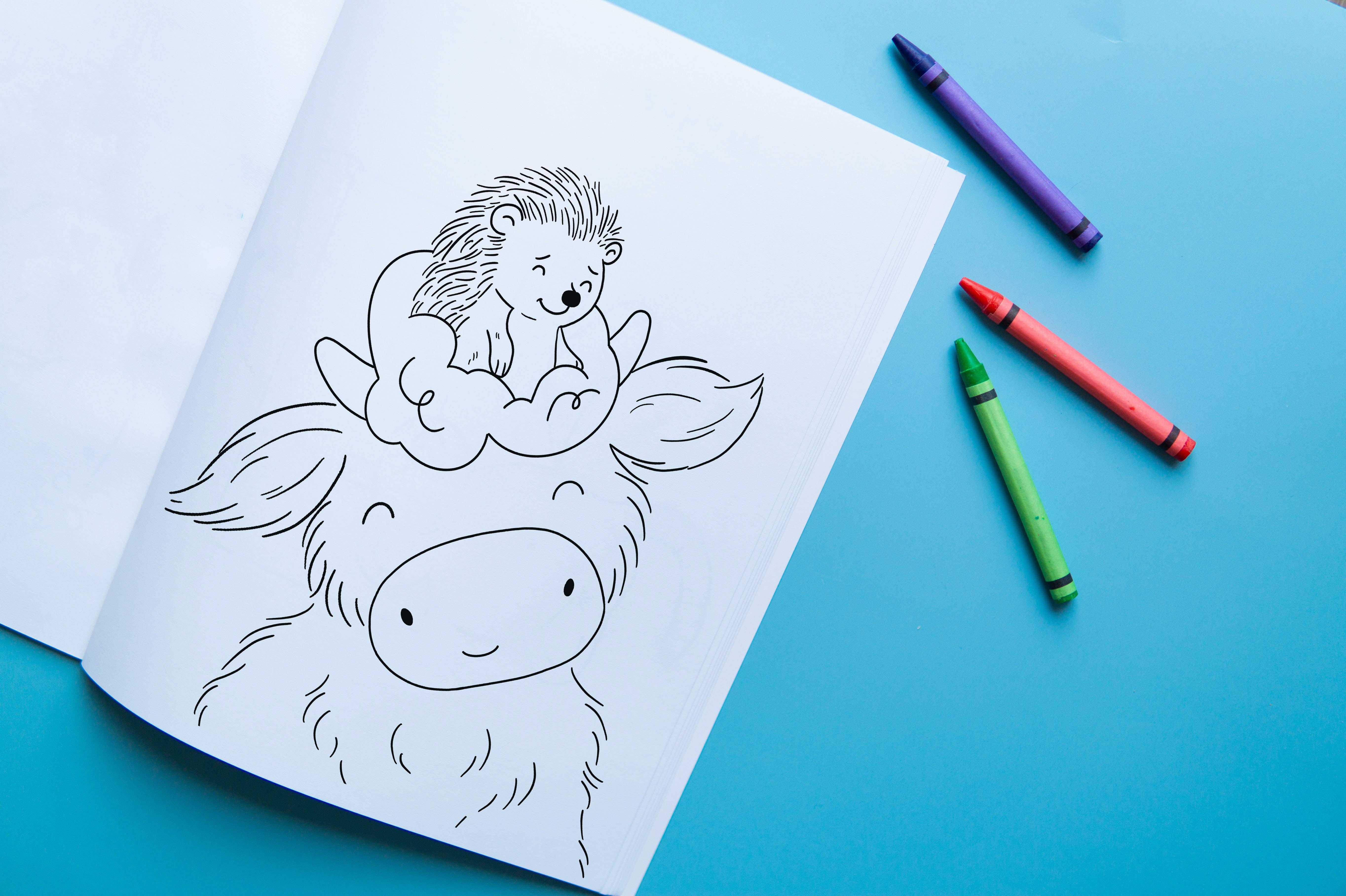 Brown Paper Fox - Wholesale Coloring & Activity Book - Kids & Baby - Missy Moo and Friends | Colouring Book2