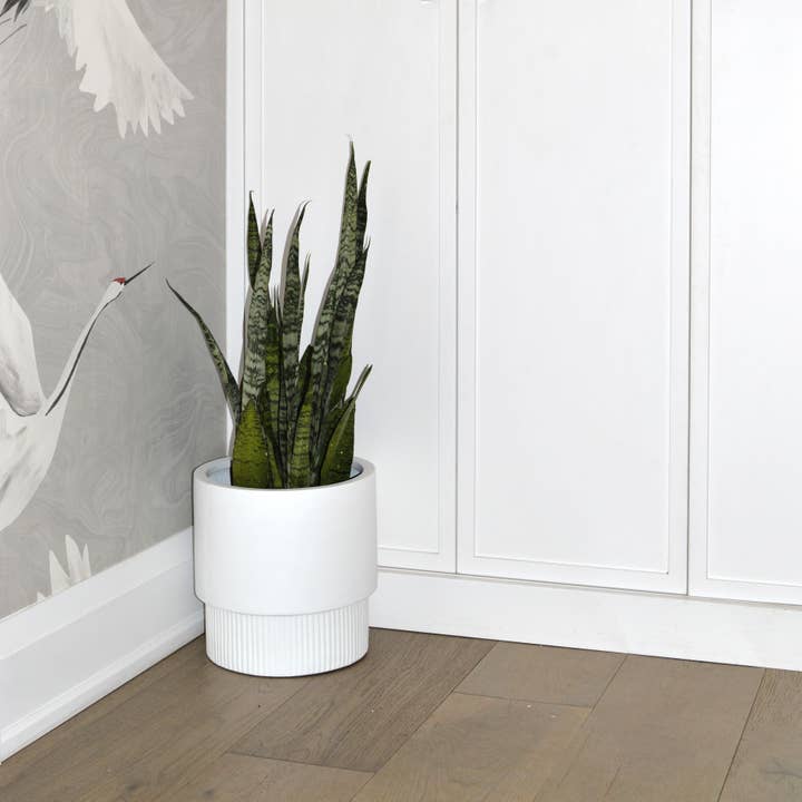 Common House Studio - Wholesale Plant Pot - FLUTED BASE PEDESTAL POT | PLANTER