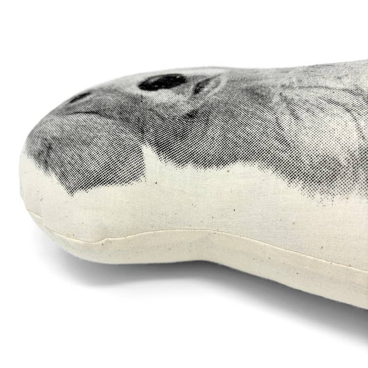 Broderpress - Wholesale Throw/Decorative Pillow - Golden Retriever Pillow1