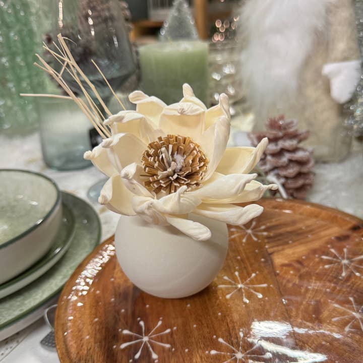 Anoq - Wholesale Reed Diffuser - Perfume diffuser vase - ceramic and Sola wood - GLOBO2