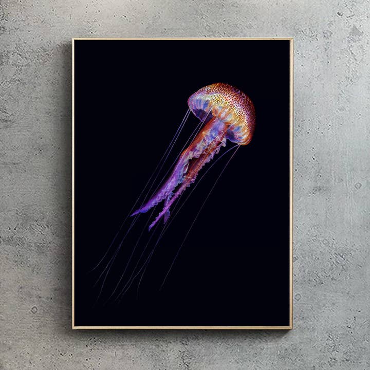 Pelagia noctiluca jellyfish BLACK edition -A2/A1 (portrait) for wholesale by Hidden Planet