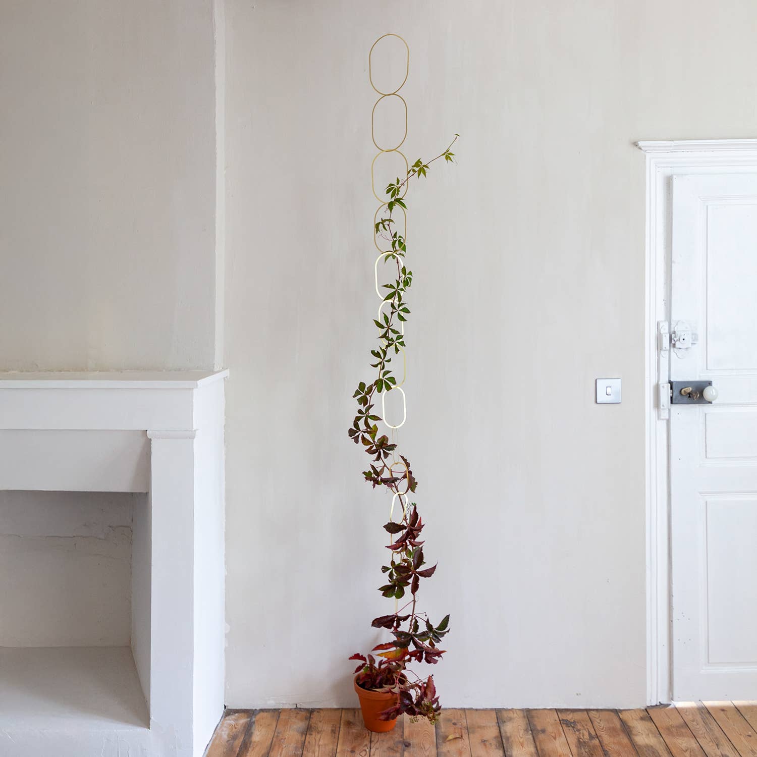 Botanopia - gifts , decor and cards for plant lovers - Wholesale Trellis - Gold Brass Chain - Plant Support for climbing plants8