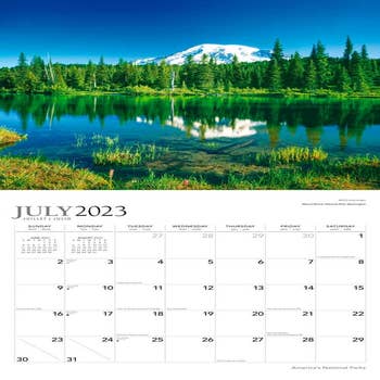 Browntrout 2024 Wall Calendar 12x12 The Very Busy Family Organizer :  Target