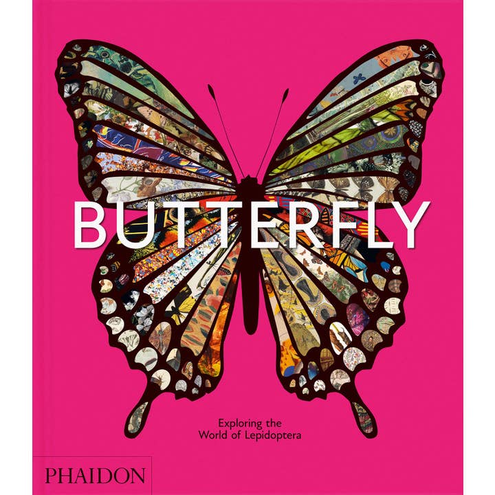 Phaidon - Wholesale Nature & Outdoors - Butterfly: Exploring the World of Lepidoptera11