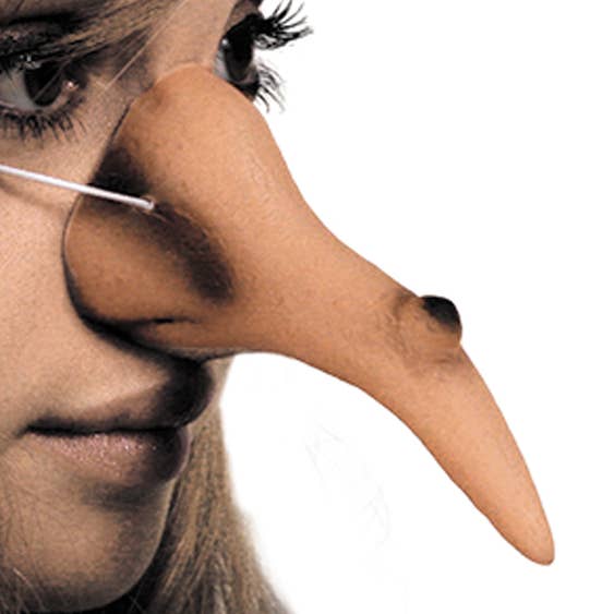 NASO DA STREGA per la vendita all'ingrosso da parte di Party Pro