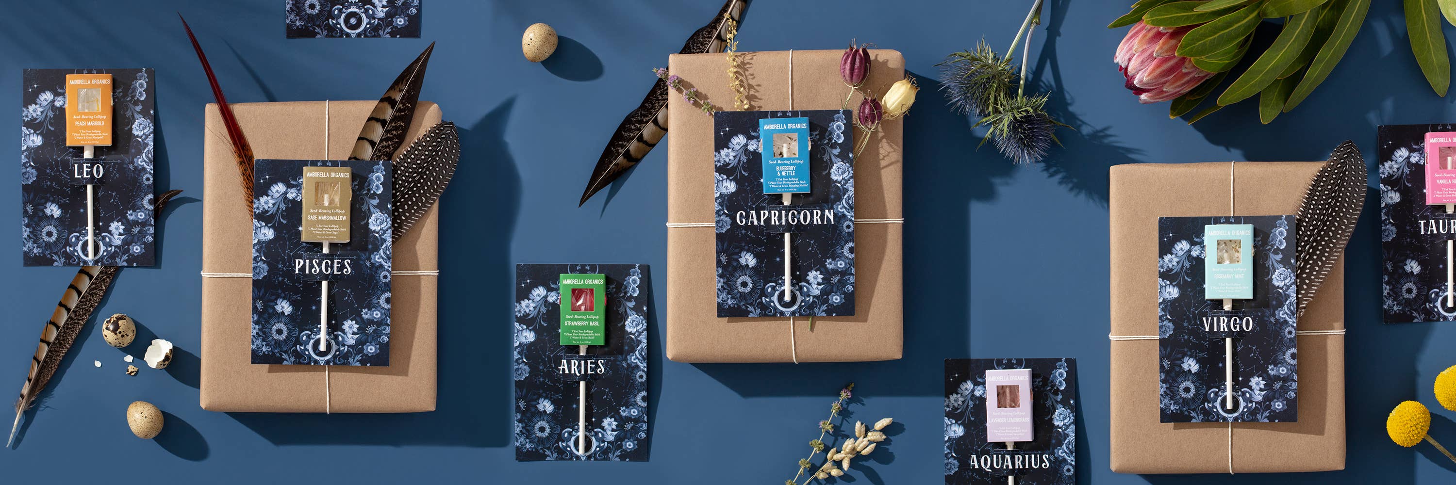 Amborella Organics - Wholesale Lollipop - Astrology Cards w/ Seed-Bearing Lollipop (Eat, Plant, Grow)1